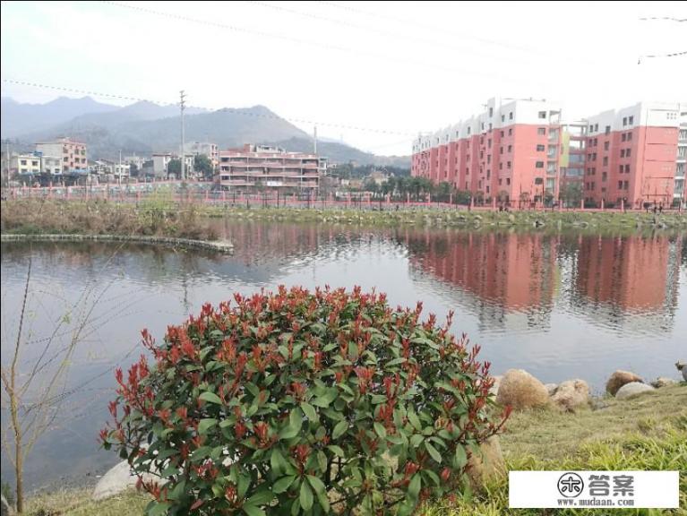 不用网络也可以玩网络游戏？