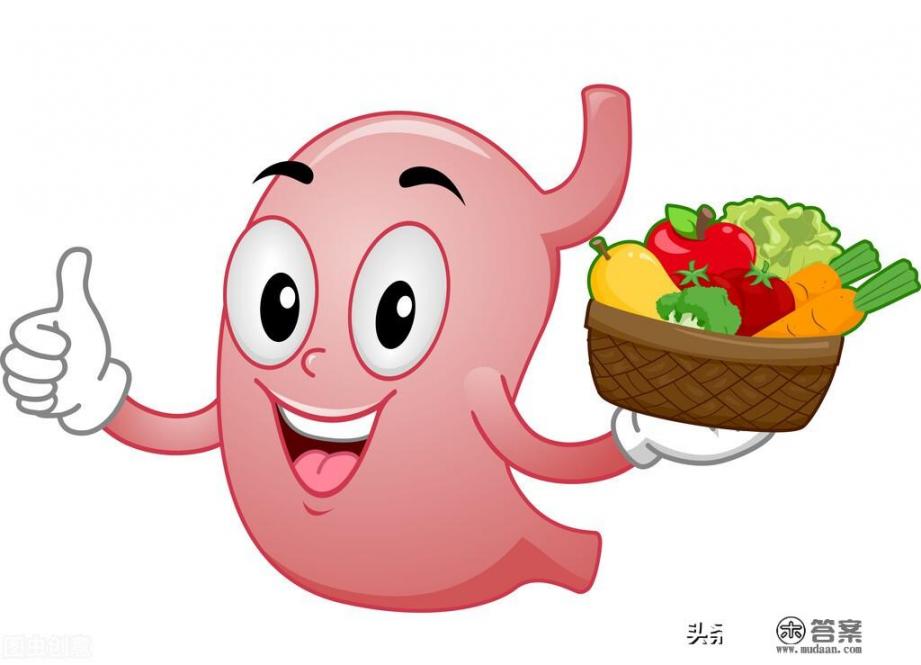 吃什么食物能补血养胃？