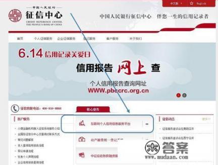 如何查询自己是否已经办理了信用卡？