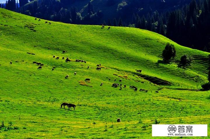 重庆自驾新疆走独库公路，有什么好的线路推荐吗？