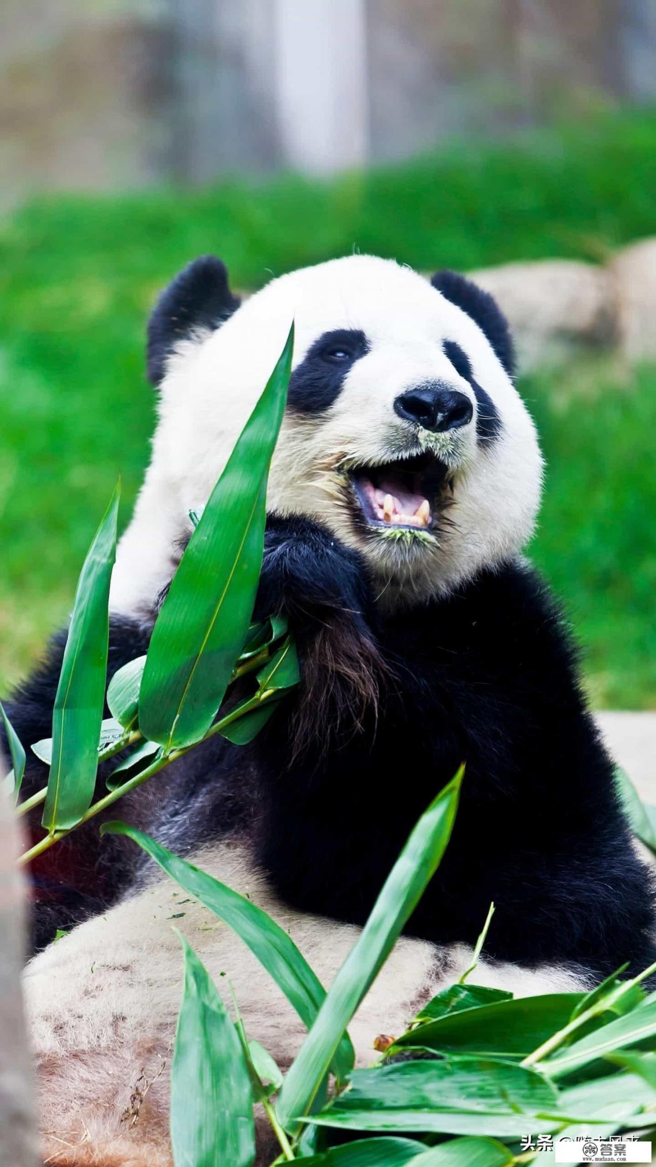 2021十大烧钱网游？