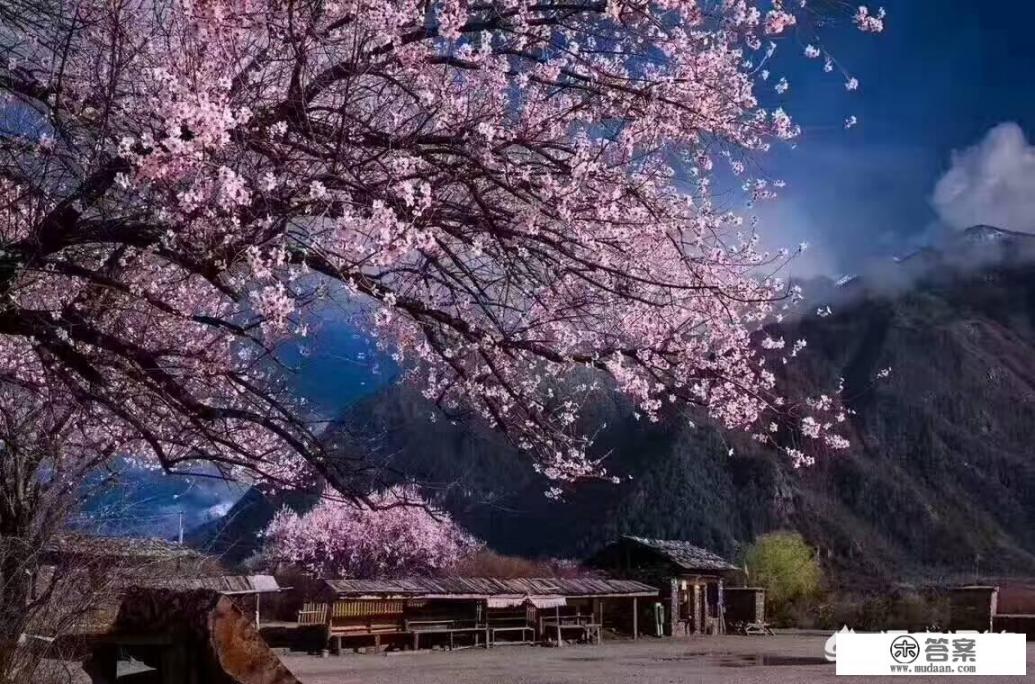 林芝到成都自驾住宿几天合理？