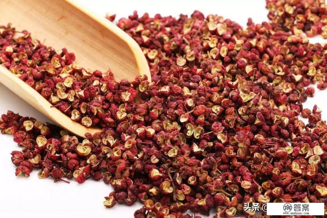 爸爸的面馆游戏什么时候出的？