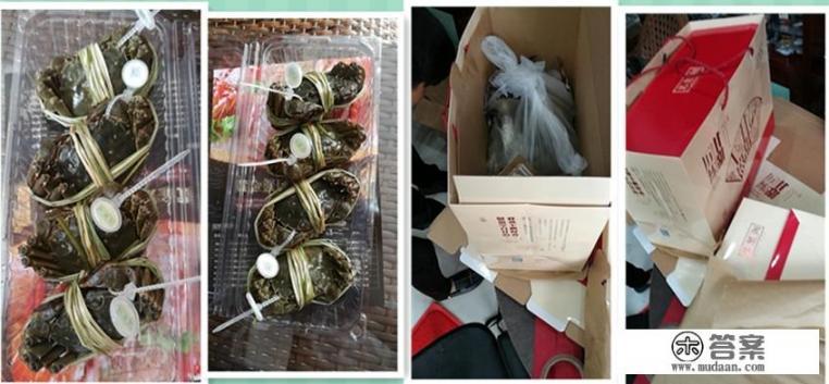 苏蟹阁阳澄湖大闸蟹在重庆有几家店，可以加盟吗？