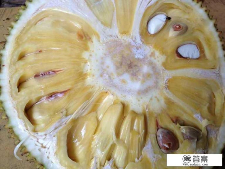 凤梨和普通的梨子有什么不同? 凤梨和普通的梨子有什么不同?