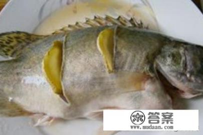 如何做清蒸桂花鱼？