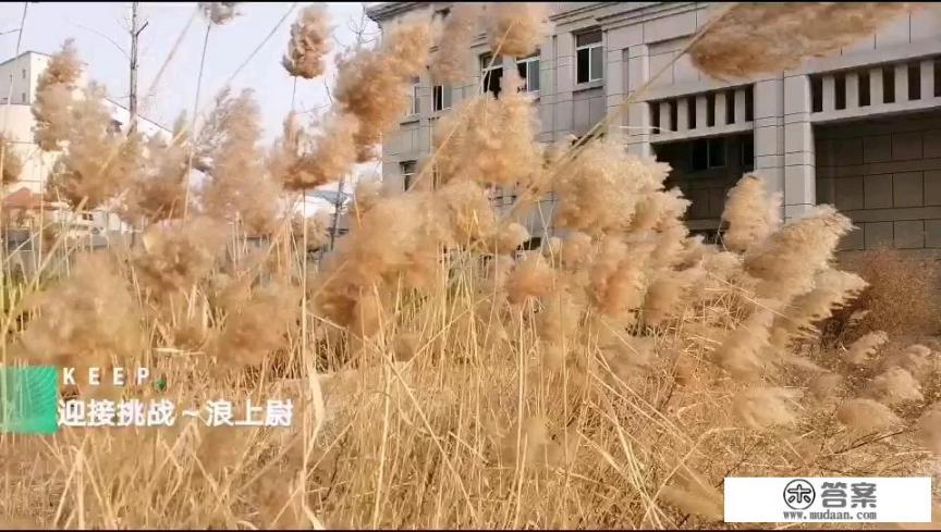 淘宝上卖的的诺基亚手机是正品机吗？