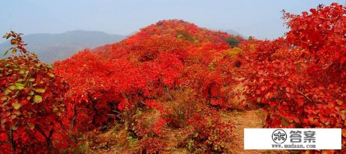 10月带娃旅游最佳去处？