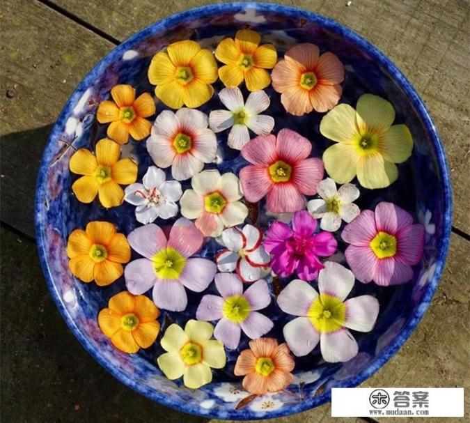 鱼丸的八种吃法？