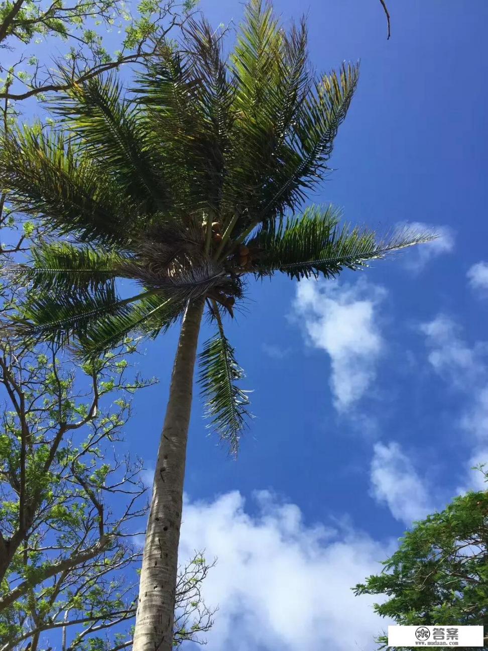 到云南旅游大概多少钱？