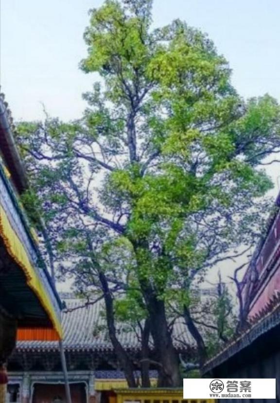 西北旅游必备装备? 西北旅游必备装备?