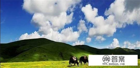 草原旅游景点的优势？