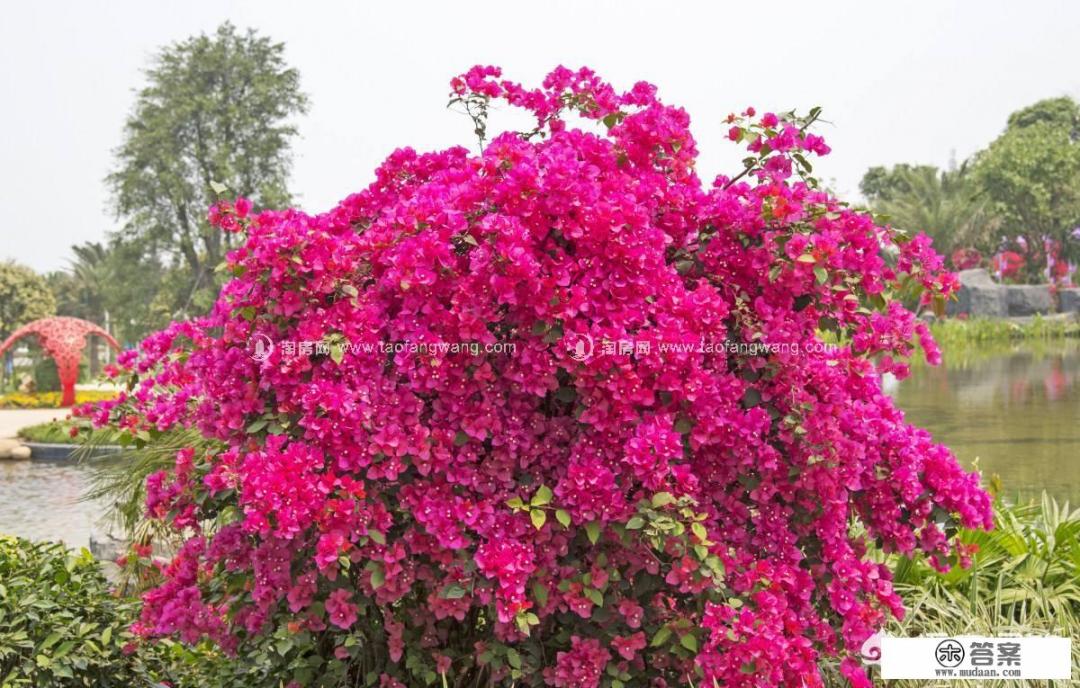 4月旅游去哪里是最佳的选择？