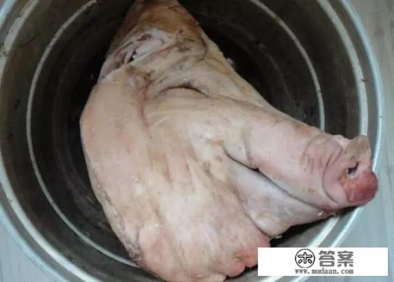 东北春节必备十大硬菜？