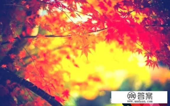 窗含西岭千秋雪这句古诗里的秋是什么含义? 窗含西岭千秋雪这句古诗里的秋是什么含义?