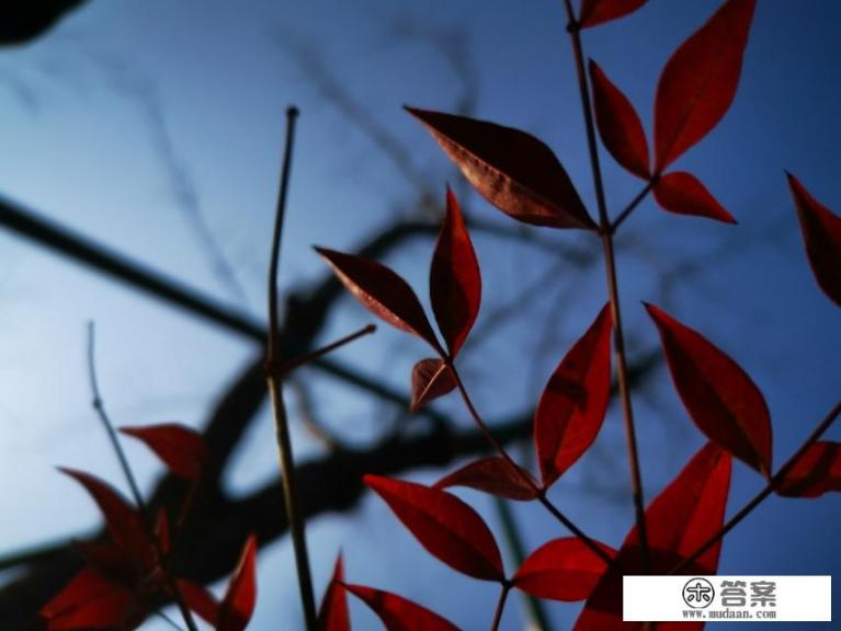 今年清明能去哪里旅游,有何推荐? 今年清明能去哪里旅游,有何推荐?