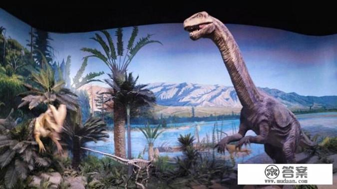 带老人孩子杭州两日游，怎么安排行程？