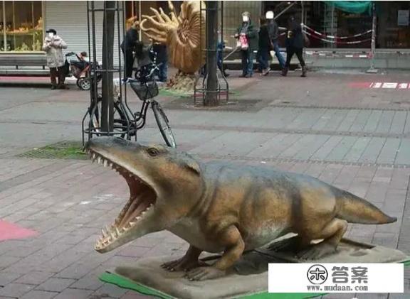 鲸鱼是鱼吗? 鲸鱼是鱼吗?