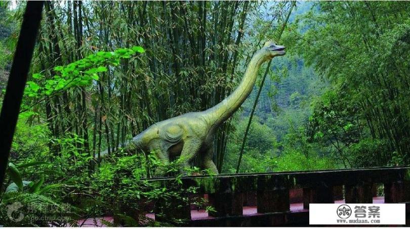 去贵州自由行划算还是跟团划算？