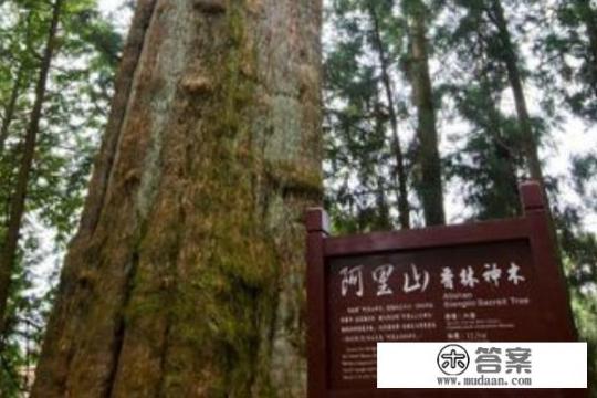 台湾最著名的两个旅游景点是哪里？