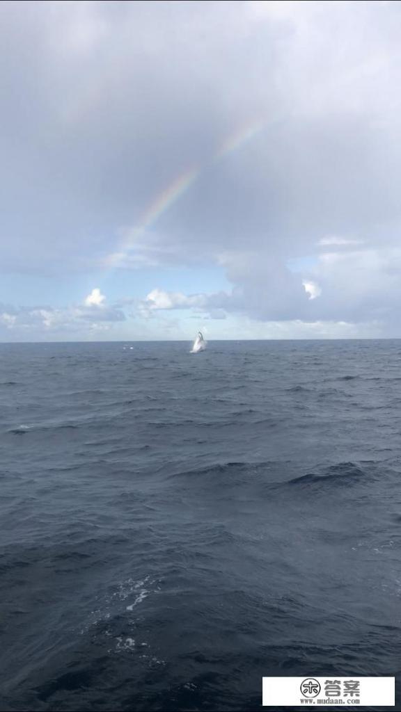 去过澳大利亚和新西兰的人说下,哪里更好玩? 去过澳大利亚和新西兰的人说下,哪里更好玩?