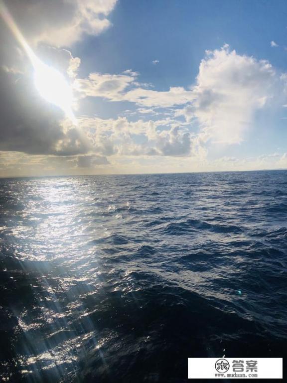 去过澳大利亚和新西兰的人说下,哪里更好玩? 去过澳大利亚和新西兰的人说下,哪里更好玩?