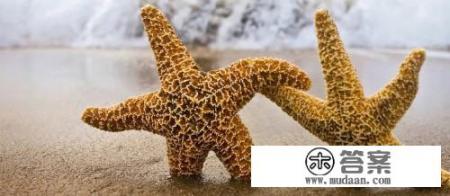 鼓浪屿最佳游玩路线？