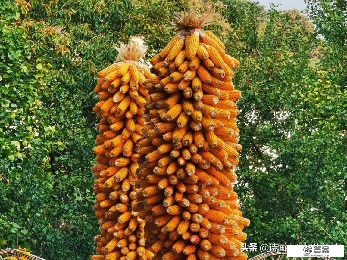 潍坊中秋去哪玩? 潍坊中秋去哪玩?