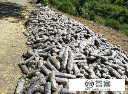 双极豆浆沙冰机器的蘑菇头怎么换？