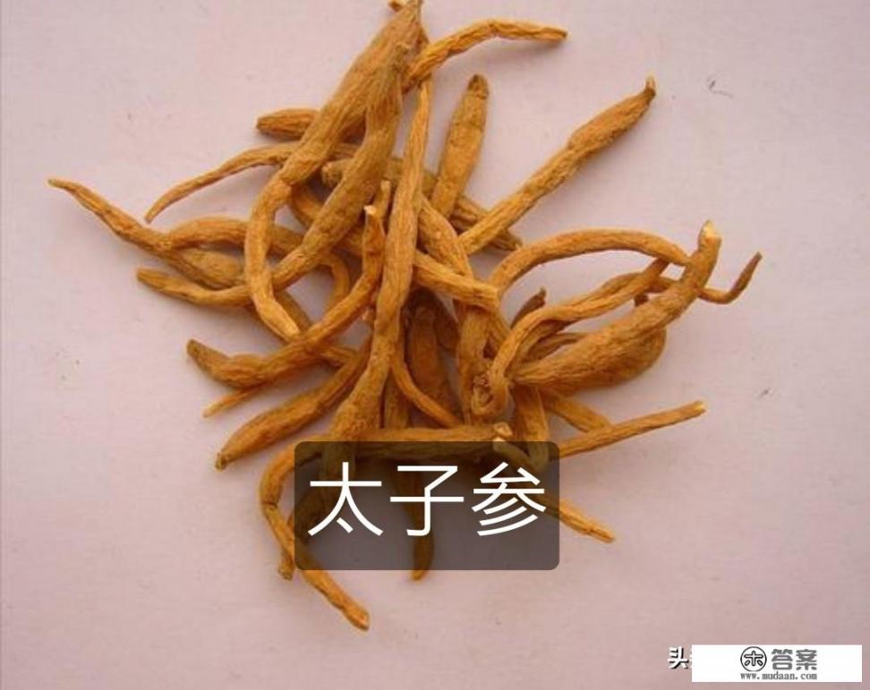 太子参的功效有哪些？