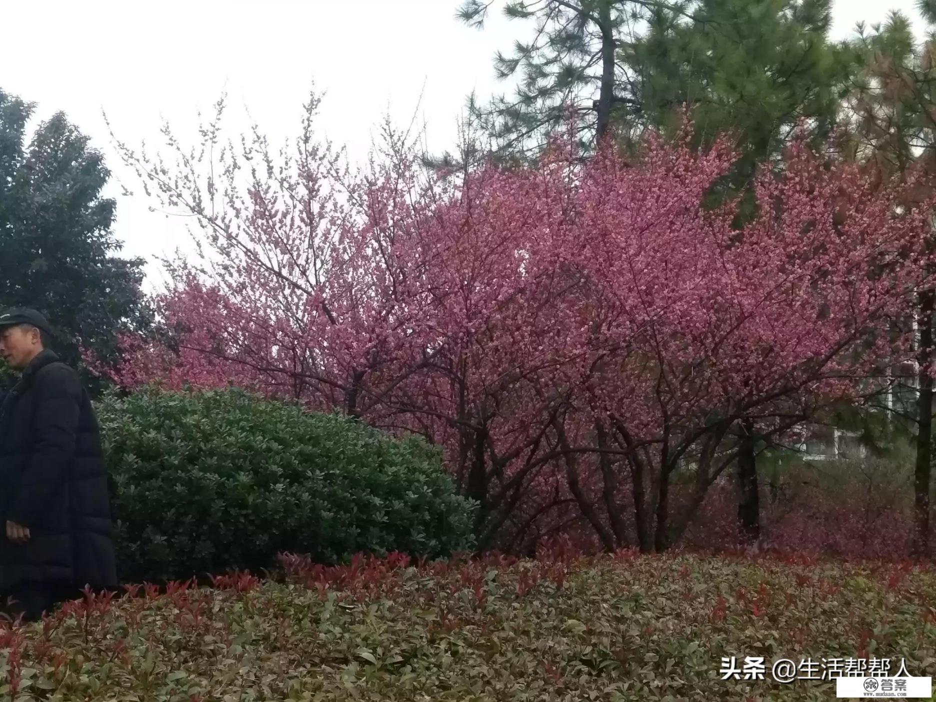 刷信用卡来炒股，这条路会不会是死路一条？