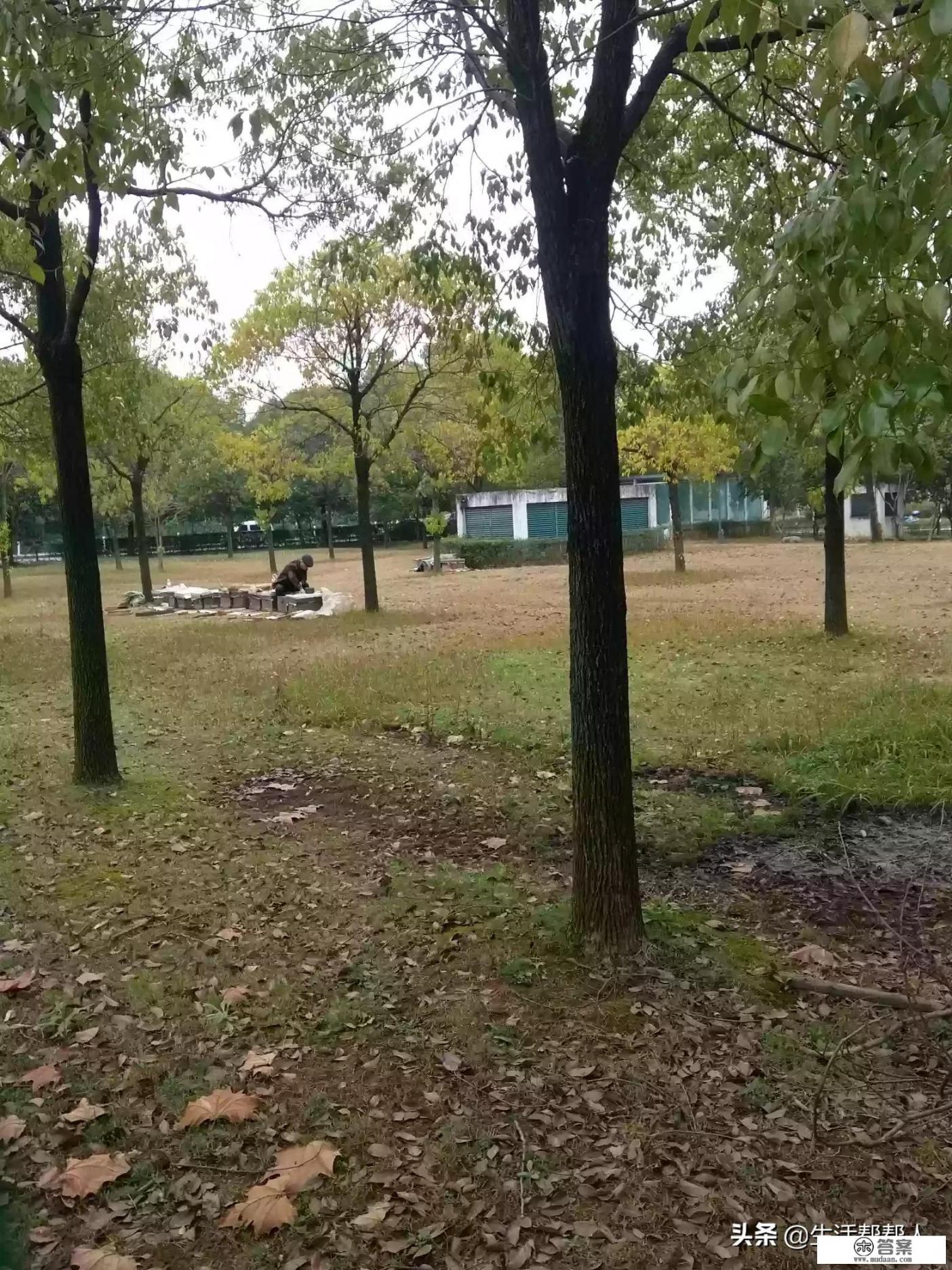 刷信用卡来炒股，这条路会不会是死路一条？