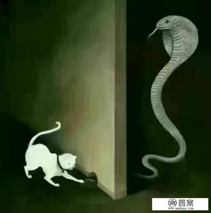 我一个朋友把我骗去办了几张信用卡，他在上面透支了十多万之后就不还，我应该怎么办？