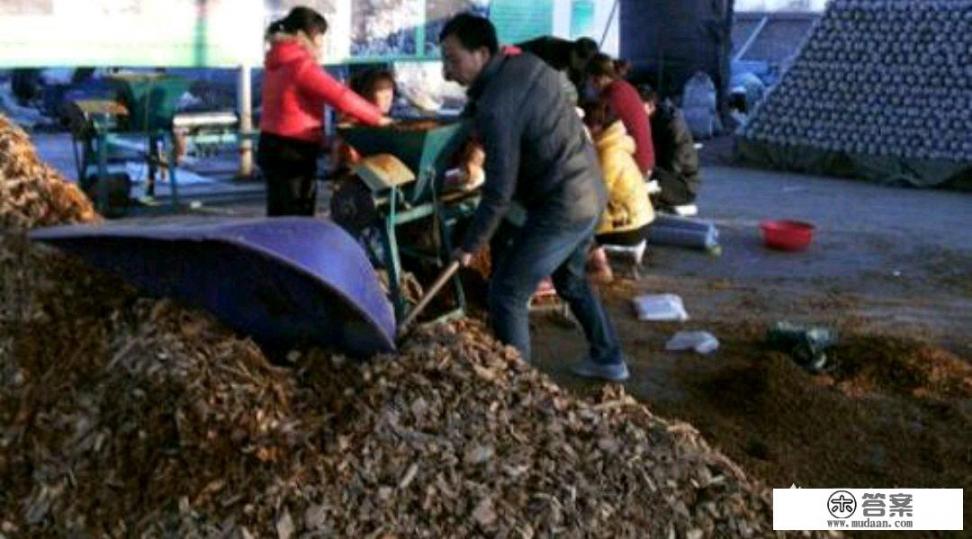 白灵菇如何煲汤？