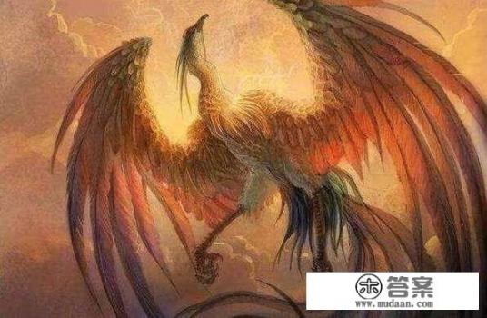 琼瑶的六个梦的内容是什么？