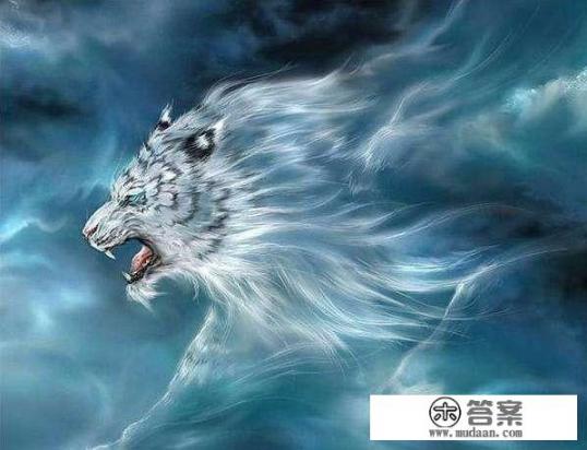 琼瑶的六个梦的内容是什么？