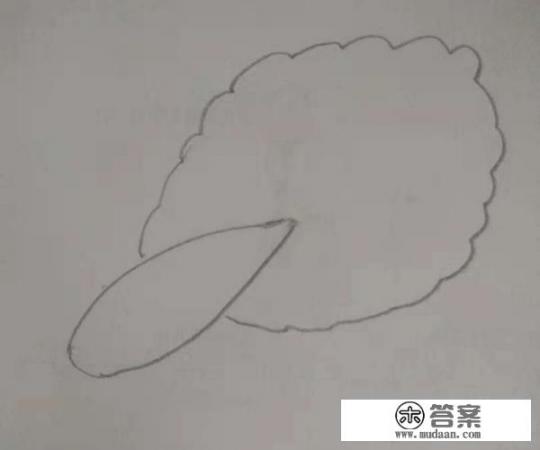 简笔画之——大白菜？