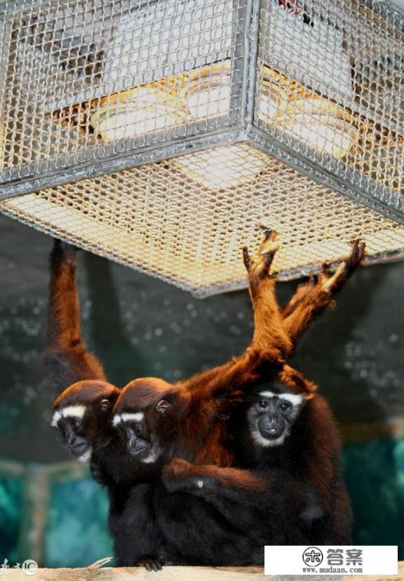 昆明现在的天气是多少度？