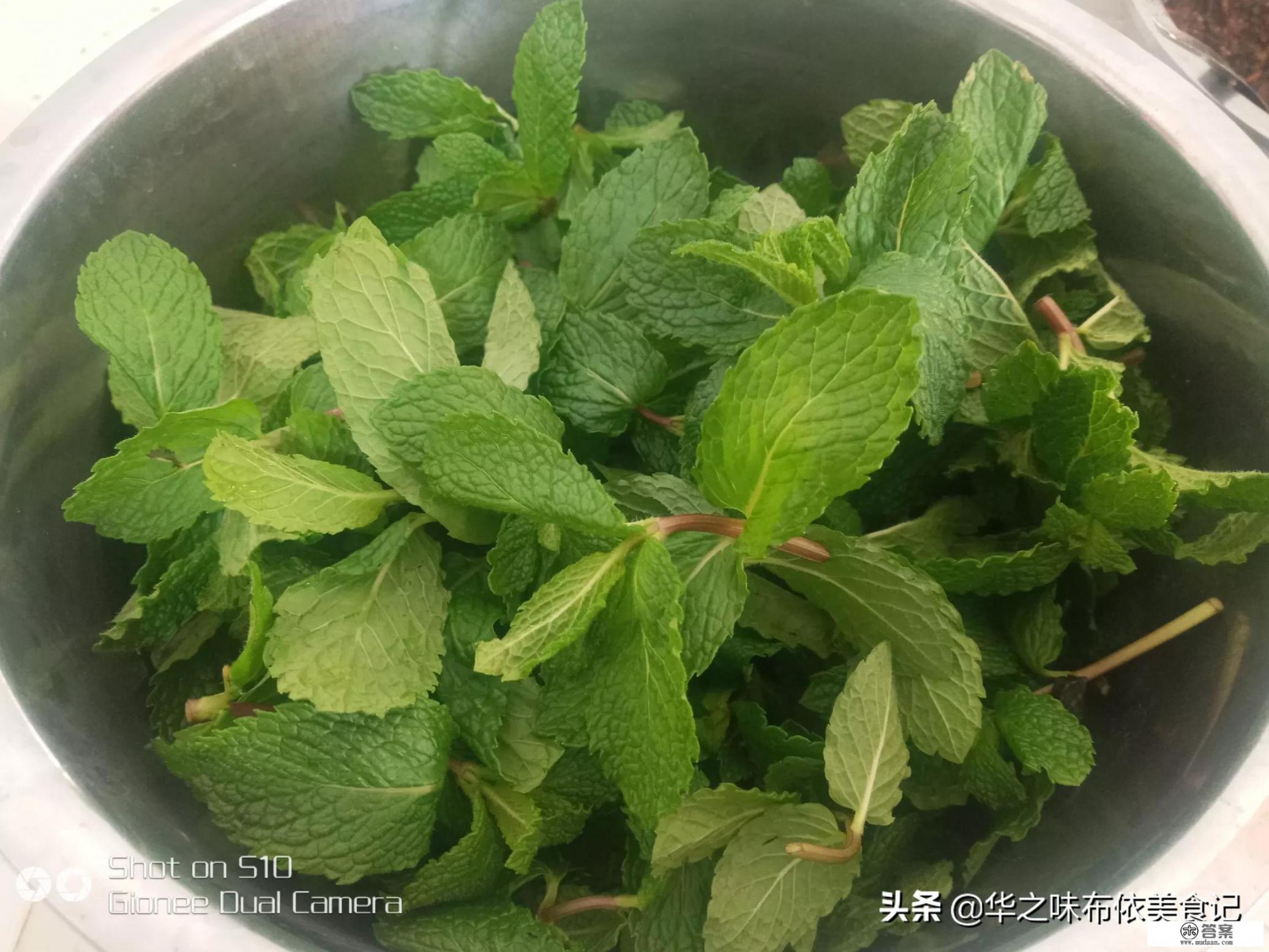 薄荷煮什么吃最好？