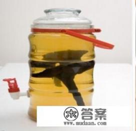 灵芝泡酒喝真的对身体有好处吗？