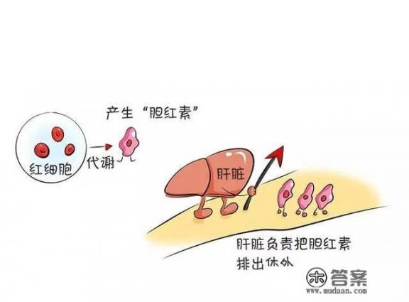 黄疸正常值是多少？