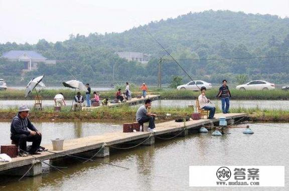 鱼塘钓草鱼最佳方法？