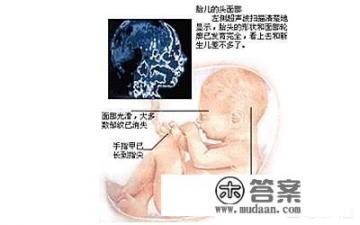 8个月宝宝身高体重？