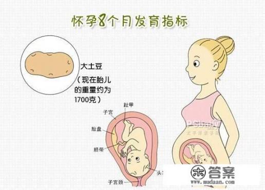 8个月宝宝身高体重？