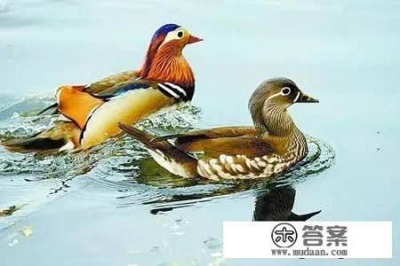 用袋子把空调出风口封闭送到另一个房间可行吗？
