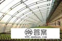 樱桃树生呀虫打什么药？