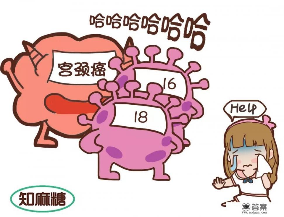 HPV是什么？