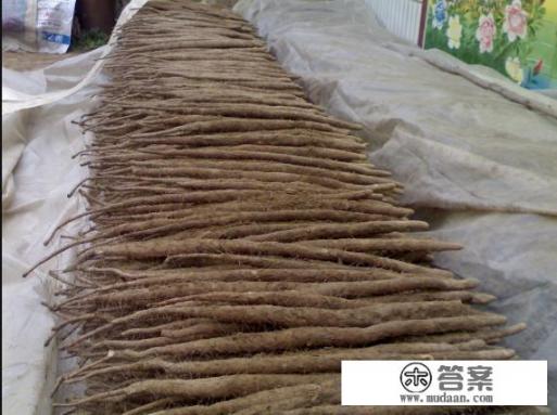 白萝卜山药豆腐排骨汤？