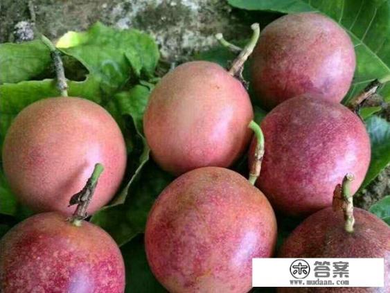 百香果有什么营养价值？