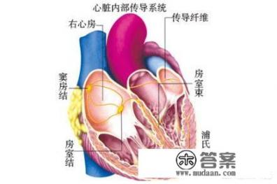 窦性心律是什么？